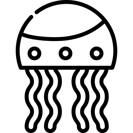Jellyfish