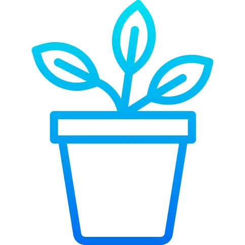Potted plant