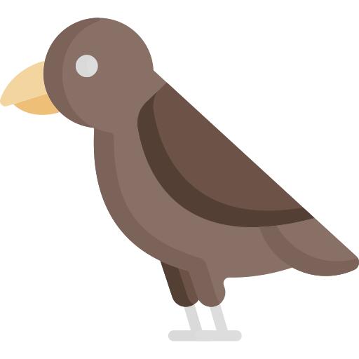 Bird
