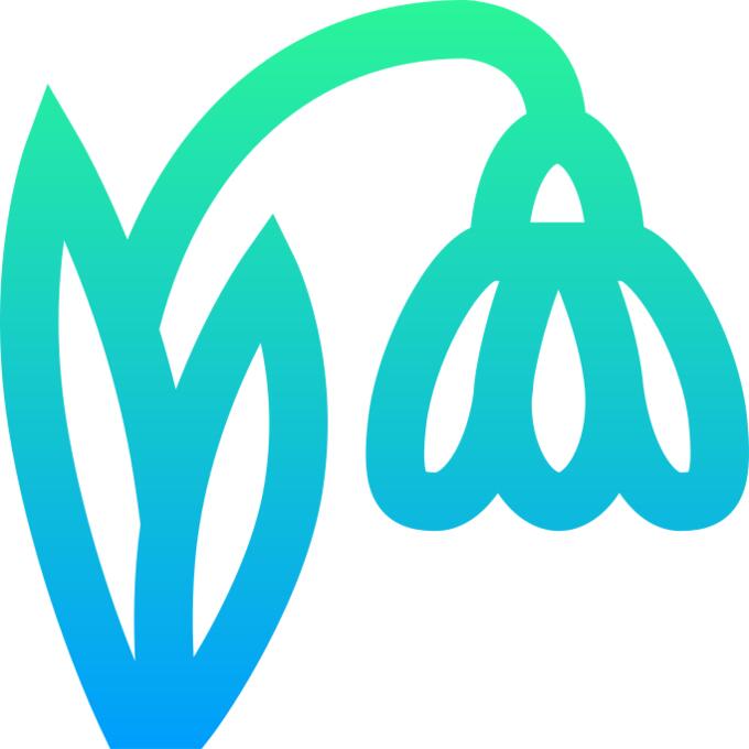 Snowdrop