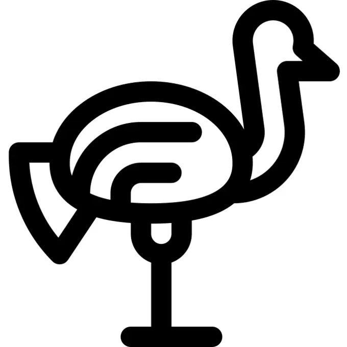 Ostrich