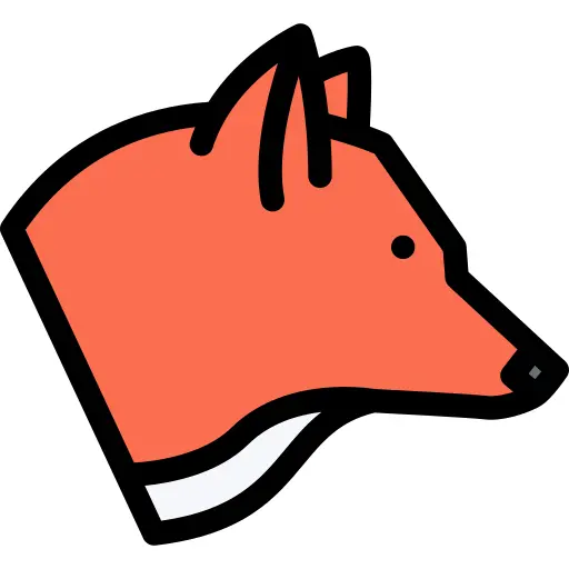 狐狸