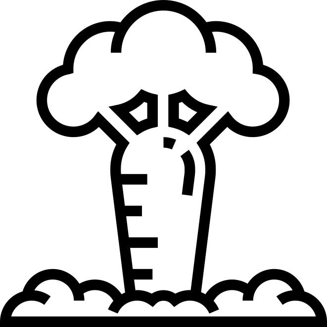 Baobab