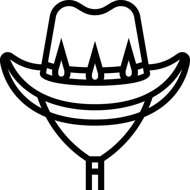 Cowboy hat