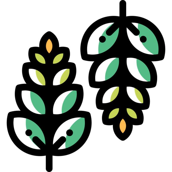 Leaves