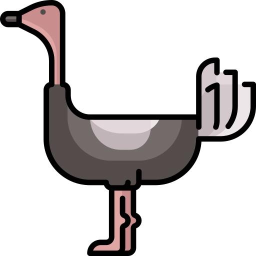 Ostrich