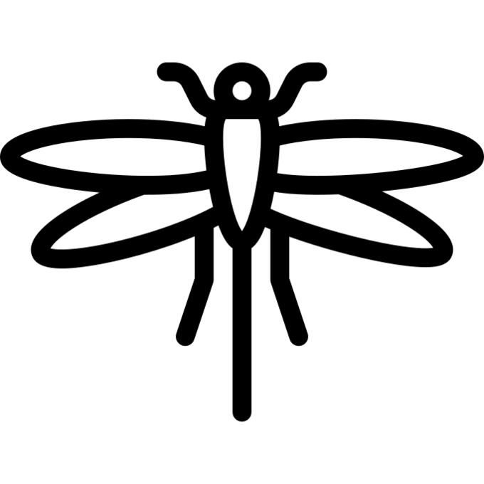Dragon fly