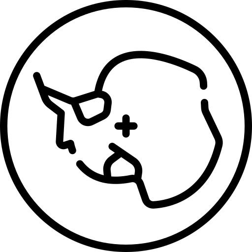 地图