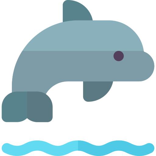 海豚