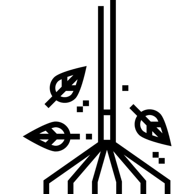 Rake