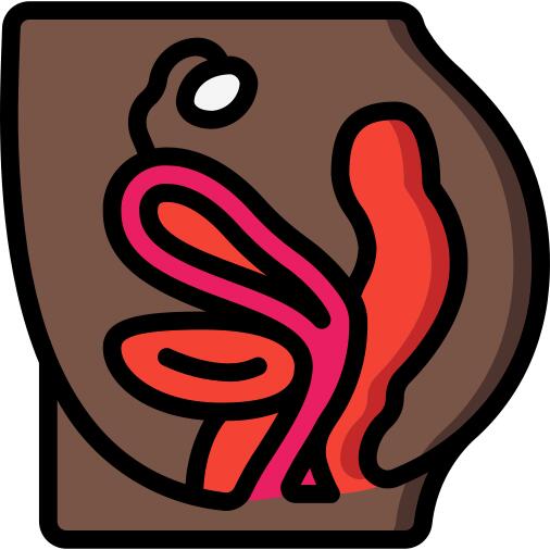Pelvic area