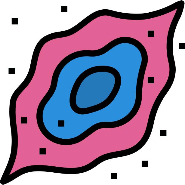 Nebula