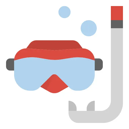 Goggles