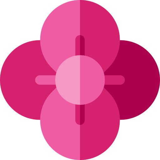 Poppy
