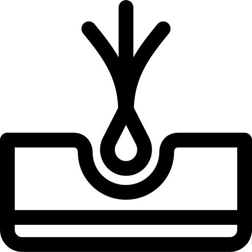 块根