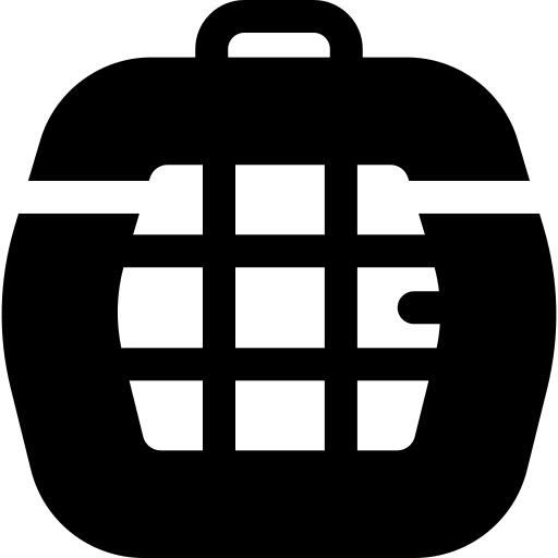 支架