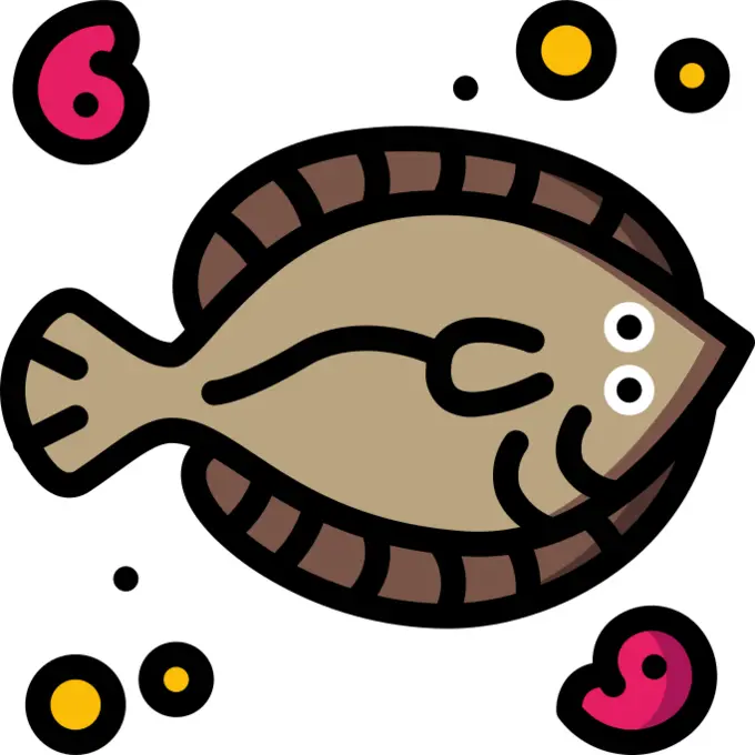 Flounder