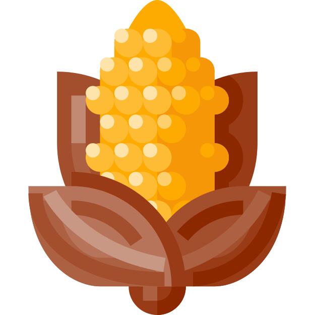 Corn