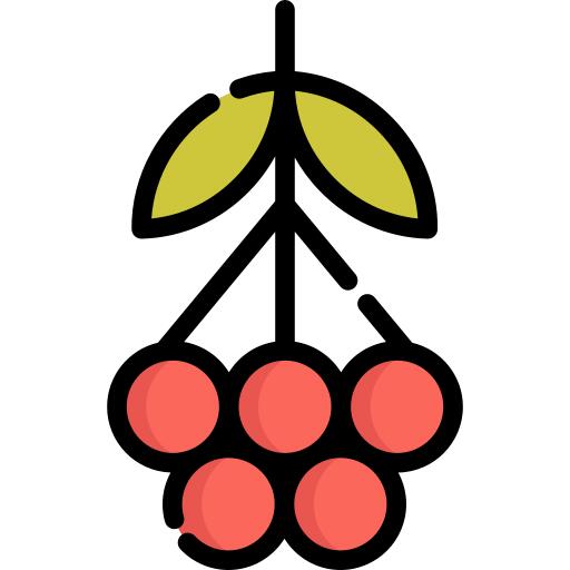 Rowan