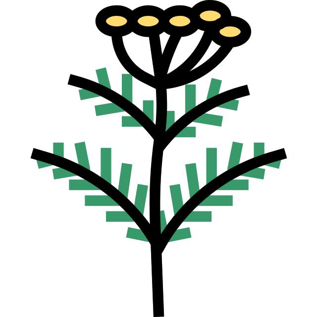 Herb