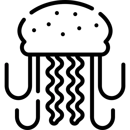 Jellyfish