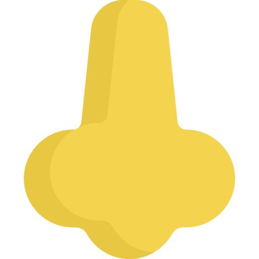 Nose