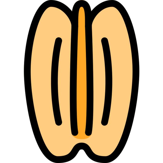 坚果