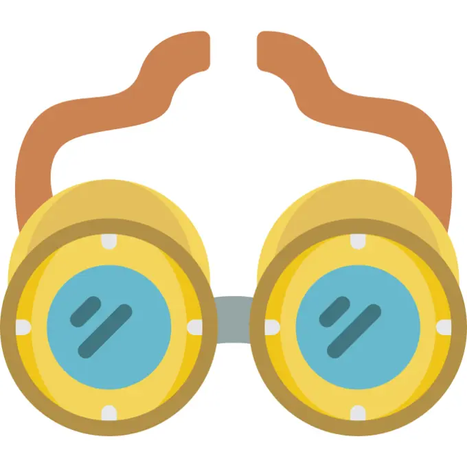 Goggles