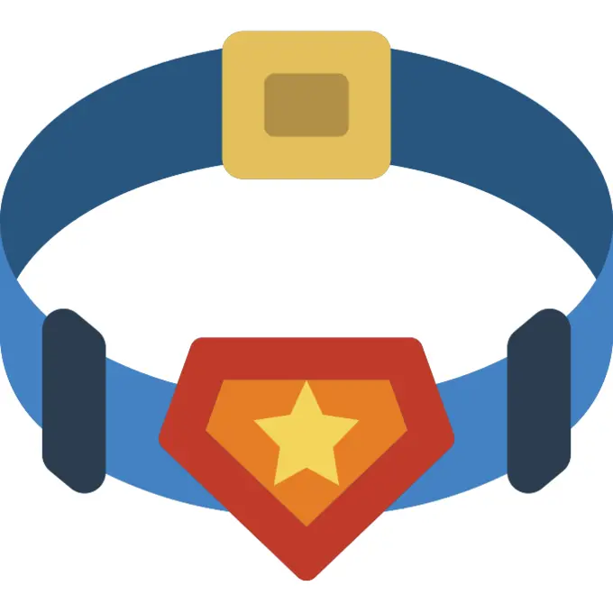 Belt