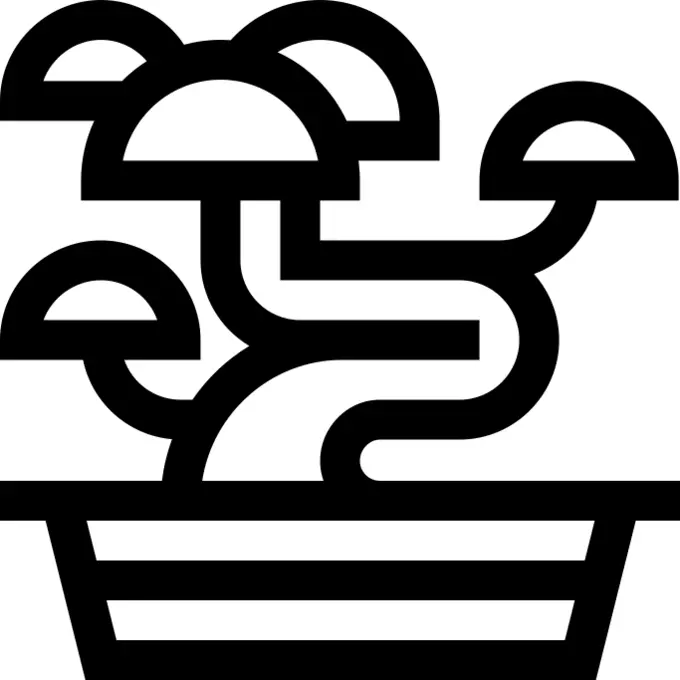 Bonsai