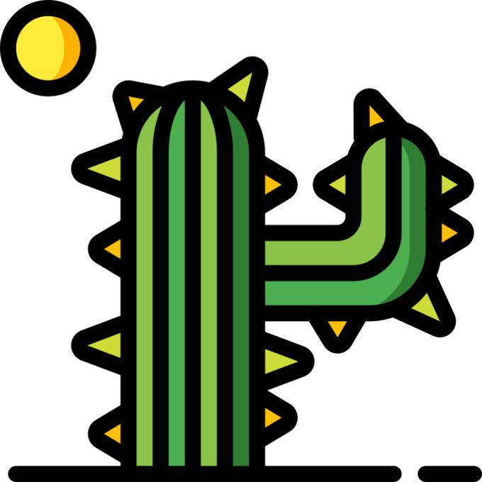 Cactus