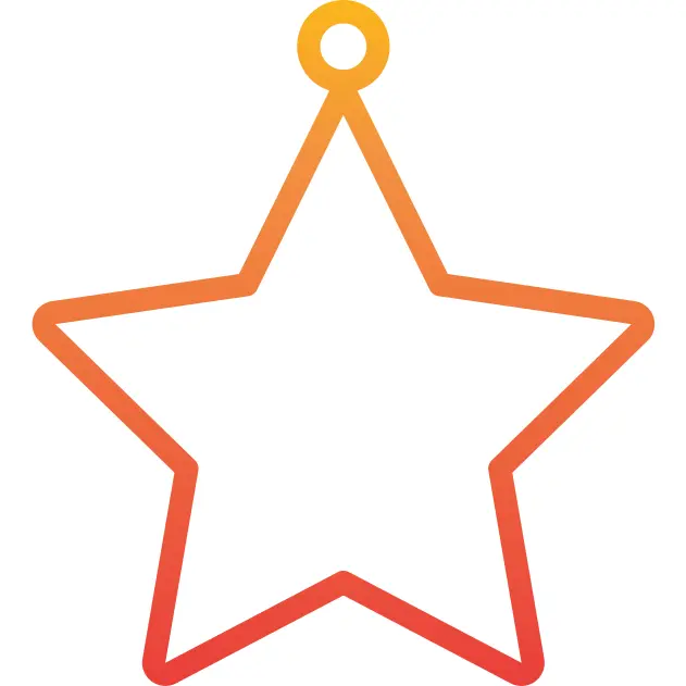 Christmas star
