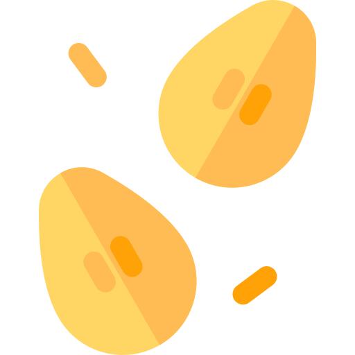Seeds