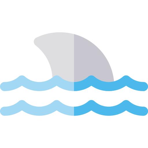 Shark
