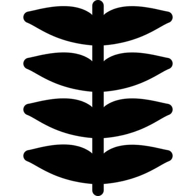 Herb