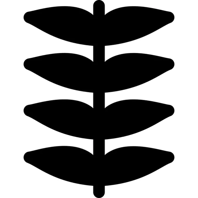 草本植物