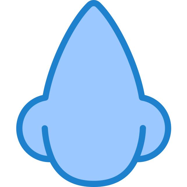 Nose