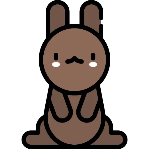 Chocolate bunny