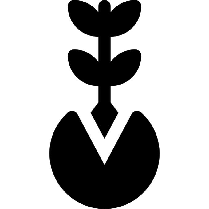 Germination