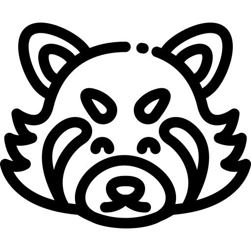 小熊猫