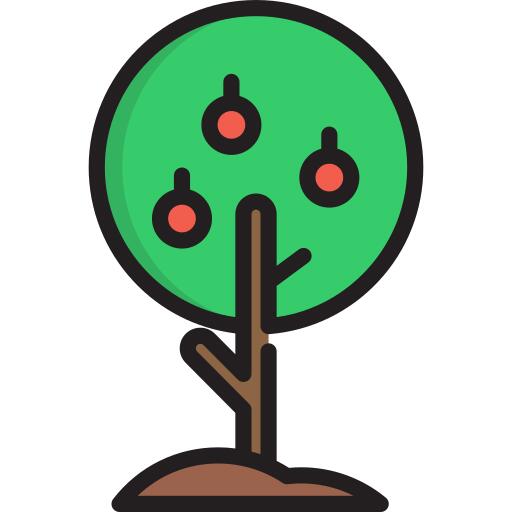 Apple tree