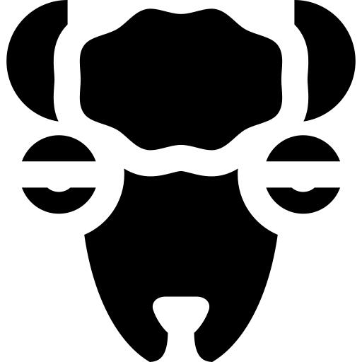 Llama