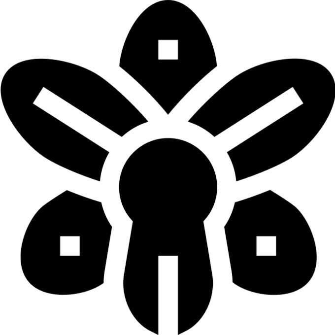 兰花
