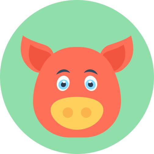 Pig