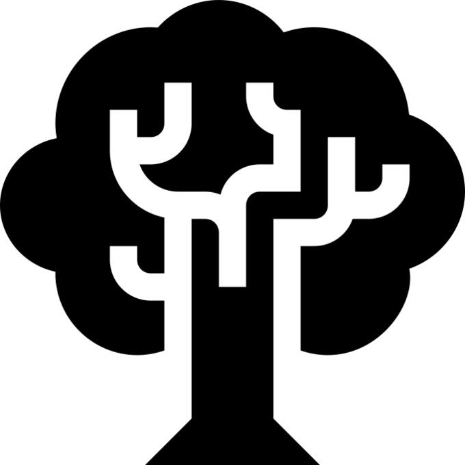 橡木