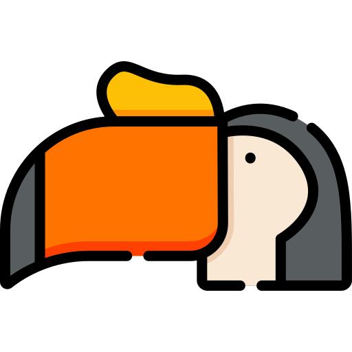 巨嘴鸟