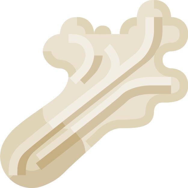 Lettuce