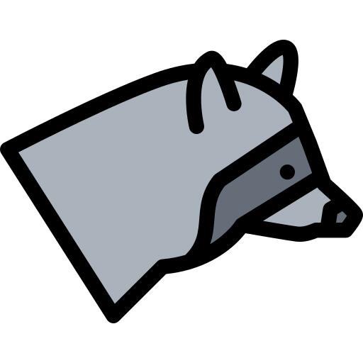 Raccoon