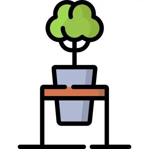 Plant