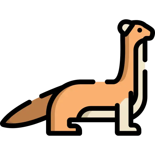Weasel
